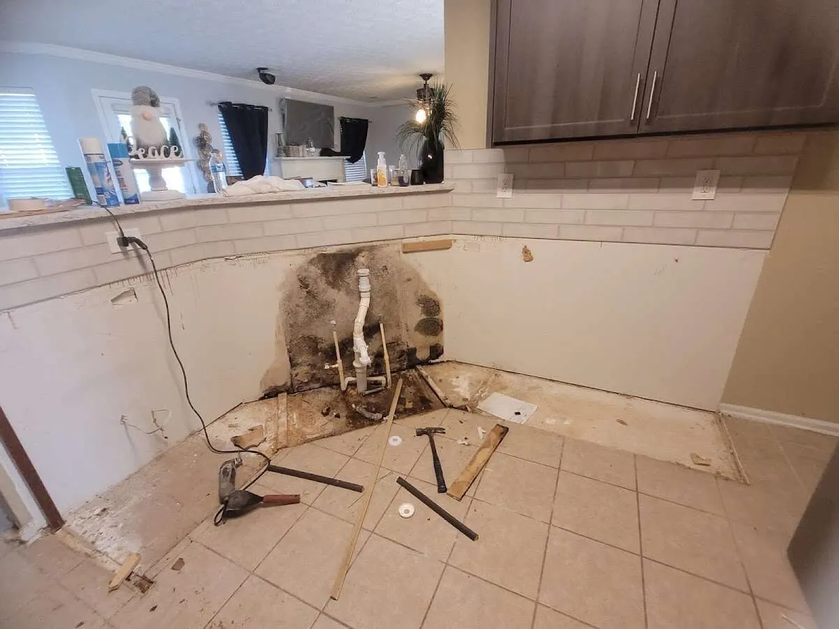 Mold behind wall with plumbing during Flood Damage Cleanup in Arvada
